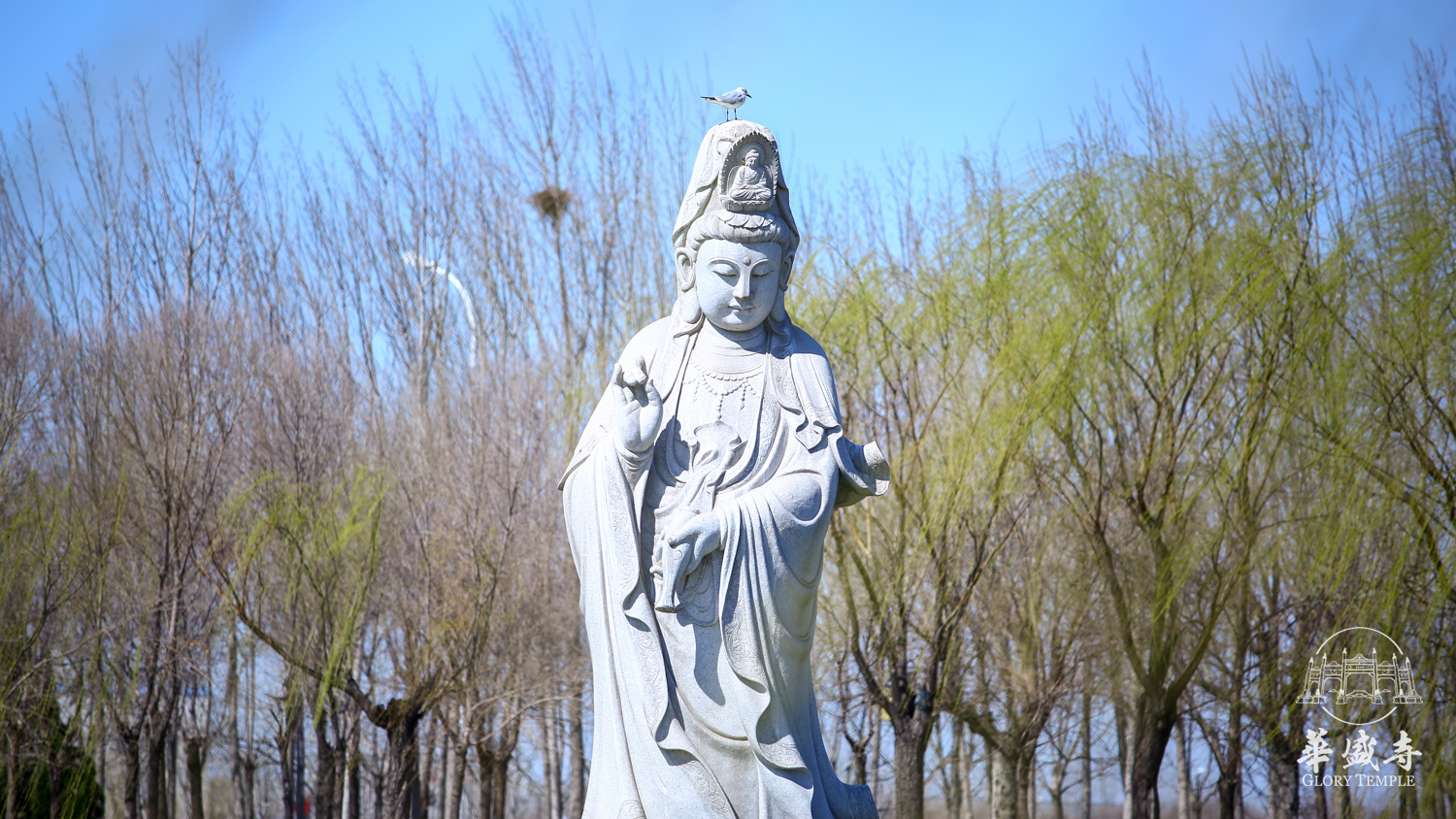 观音出家-2.jpg